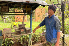Dari Lahan Pribadi jadi Pusat Pembelajaran, Kiprah Sabil Kembangkan Madu Kelulut
