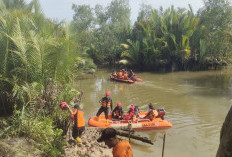 Tubuh Korban Diterkam Buaya di Sungai Sangkuranai Paser Ditemukan Tak Utuh