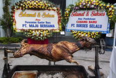 DPRD Kutim Soroti Belanja Kambing Guling dan Karangan Bunga oleh Pemkab 