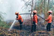 Titik Panas Melonjak, BPBD Kaltim Minta Warga Tak Bakar Lahan