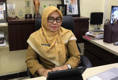 Pengawasan Perkebunan Diperketat, Disbun Berau Fokus Bersihkan Praktik Kebun Tanpa Izin