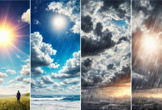 Ramalan Cuaca Kaltim dan IKN, 10 Desember 2025, Cek di Sini!