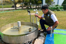 Suhu Capai 37,8 Derajat Celcius, Berau Jadi Daerah Terpanas di Indonesia