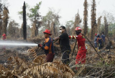 PT Berau Coal Perkuat Penanganan Karhutla di Berau, ERG Terjun Bersama Tim Gabungan