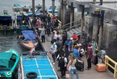 4.262 Wisatawan Menyeberang ke Derawan-Maratua dari Dermaga Sidayang, Tak Ada Antrean dan Penumpukan