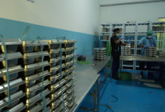 Wakil Kepala BGN Geram usai Dicurhati Pekerja MBG: Tidur di Lantai, hingga Pakai Peralatan Bekas