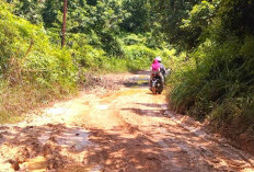 Jalan Utama 3 Kampung di Jempang Kubar Rusak, Warga Desak Perbaikan Permanen
