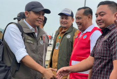 Menhut Raja Juli Pantau Karhutla di Berau, Sebut Habitat Orangutan Aman