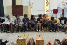 Arena Judi Sabung Ayam di Balikpapan Digerebek, Polisi Sita 18 Ayam Jago