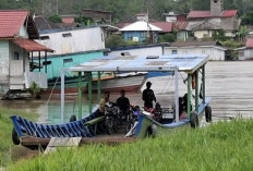 Kapal Tanpa Izin Marak di Kubar, Pendataan Masih Lemah