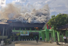 Waspada! Damkar Samarinda Ingatkan Risiko Kebakaran Saat Musim Kemarau