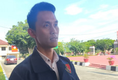 Kasus Hibah Penanaman Mangrove 2021 Naik ke Penyidikan, Polisi Tunggu Audit BPKP