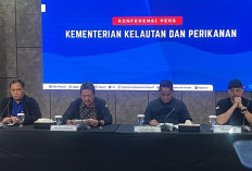 KKP Pastikan Tiga Pegawainya Jadi Korban Kecelakaan Pesawat IAT, Tengah Jalankan Misi Pengawasan Udara