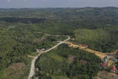 DPR RI Siap Fasilitasi Penyelesaian Konflik Lahan Tahura di Samboja