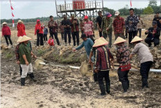 Kutai Barat Cetak Sawah 69,87 Hektare, Target Jadi Lumbung Pangan