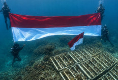 Peringati HUT RI, Bendera Merah Putih 8 Meter Berkibar di Bawah Laut Pulau Miang 