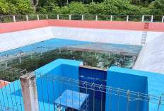 Embung Berkapasitas 80 Ribu Kubik di Pulau Maratua Belum Berfungsi, DPUPR Ungkap Kendalanya