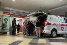 Pemprov Kaltim Tanggung JKN hingga Juli 2026, 83 Ribu Warga Dilimpahkan 1 Agustus