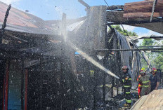 Enam Bangunan di Jalan Marsma Iswahyudi Berau Hangus Dilalap Si Jago Merah