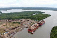 Akademisi Unmul Ini Ingatkan Deforestasi Kaltim Masuki Fase Kritis