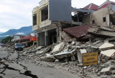 Jumlah Korban Jiwa Gempa NTT M7.7 Capai 33 Orang, BMKG Turunkan Tim Ahli 