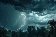 Ramalan Cuaca Kaltim dan IKN, 15 Januari 2026, Waspada Cuaca Ekstrem!