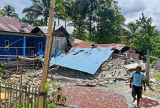 BNPB: Gempa M 6,7 di Sulteng Sebabkan 1 Korban Jiwa, 312 Warga Terdampak