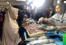 Pasokan Bergantung Musim, Harga Ikan di Berau Jadi Penyumbang Inflasi
