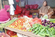Harga Cabai di Kutai Barat Tembus Rp80 Ribu per Kilogram, Konsumen Batasi Jumlah Belanja