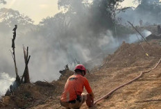 BPBD Mahulu Tidak Melarang Warga Bakar Lahan, Tapi Harus Koordinasi