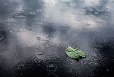 Ramalan Cuaca Kaltim dan IKN, 21 Februari 2026, Cek di Sini!