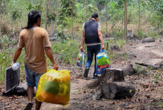 Usai Mediasi, Warga yang Mendiami Tahura Bukit Soeharto Secara Sukarela Tinggalkan Kawasan Hutan