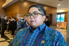 Jembatan Mahulu Samarinda Berulang Ditabrak, Ananda Emira Moeis: Tolong KSOP Bekerjanya Lebih Baik Lagi!