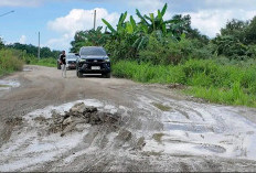 Jalur Kota Bangun–Kenohan Rusak Parah, DPRD Kukar Dorong Percepatan Perbaikan Jalan
