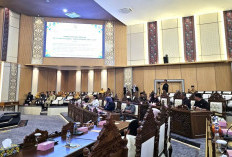 Pemkot Balikpapan Usulkan Perubahan 2 Perda, Dewan Nilai Relevan dengan Ancaman Karhutla