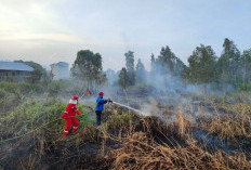 Waspada Karhutla, 171 Titik Panas Terdeteksi di Paser 