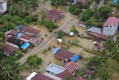 Debit Sungai Meluap, Banjir Rendam Permukiman Warga di Muara Wahau dan Kongbeng