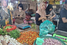 Usai Melambung Tinggi, Harga Cabai di Kutim Mulai Normal di Angka Rp100 Ribu Per Kilogram