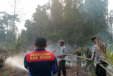 Api Belum Terkendali, Pemprov Kaltim Buka Opsi Status Karhutla Menjadi Bencana Nasional