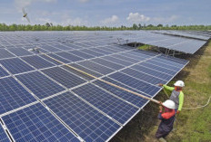 Potensi Energi Bersih Kaltim Tembus 20 Ribu MW, Tenaga Surya Jadi Sumber Terbesar