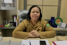 Sinyal Masih Jadi Keluhan Utama di Destinasi Wisata Berau, Ini Penyebabnya