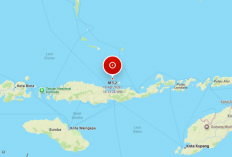 Gempa M5,2 Kembali Guncang NTT, BMKG Ingatkan Waspada Gempa Susulan
