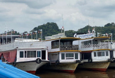 Pengamat: Distribusi BBM Kapal Sungai Mahakam Mandek, Pemerintah Diminta Segera Ambil Langkah Darurat