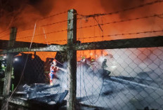 Kebakaran Hanguskan Mes PT Tirta Mahakam di Palaran, Jalan Sempit Hambat Proses Pemadaman