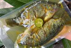 Inovasi Pemasaran Hasil Perikanan di PPU, Kemas dengan Bumbu dan Siap Goreng
