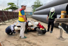 PT Pelayaran Mitra Tujuh Samudera Mulai Kerjakan Perbaikan Dolphin dan Fender Jembatan Mahakam