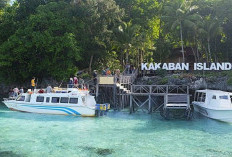 Pengelolaan Pulau Kakaban Belum Jelas, DPRD Kaltim Minta Manfaat Wisata Tetap untuk Masyarakat Berau