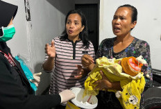 Bayi Perempuan Ditemukan di Belakang Pintu Rumah Warga di Balikpapan, Polisi Telusuri Pelaku Penelantaran