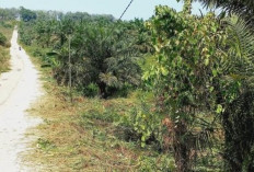 TPST Senilai Rp107 Miliar Akan Dibangun di Loa Ipuh Kukar, Ditarget Rampung 2029