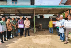 8 Masjid di Mahulu Dapat Bantuan Hewan Kurban, 7 dari Pemkab 1 dari Presiden